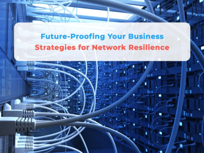 Strategies for Network Resilience