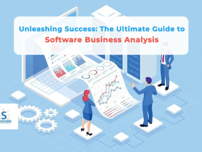 The Ultimate Guide to Software Business Analysis